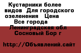 Кустарники более 100 видов. Для городского озеленения › Цена ­ 70 - Все города  »    . Ленинградская обл.,Сосновый Бор г.